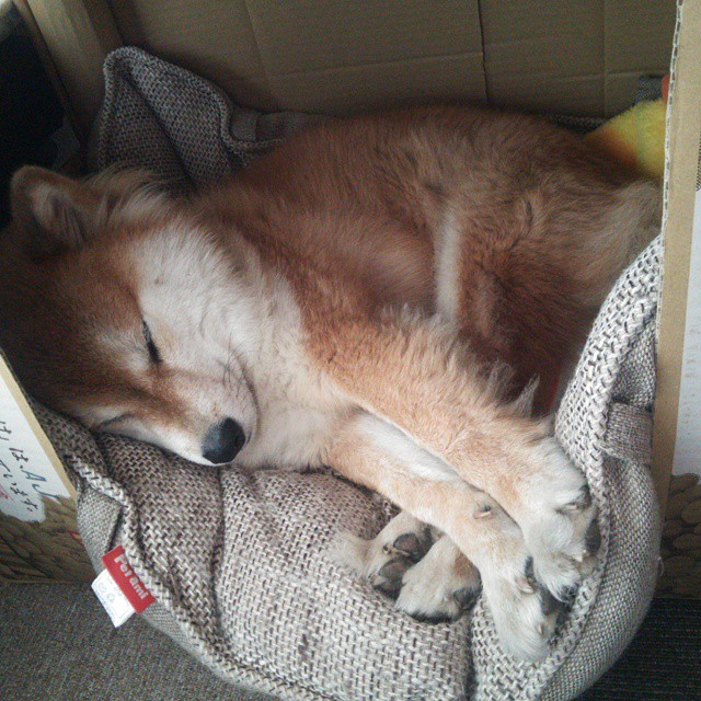 《电竞比赛现场：氛围热烈斗志昂扬》，电竞比赛场景