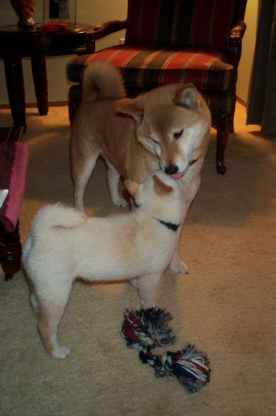 《电竞比赛现场：氛围热烈斗志昂扬》，电竞比赛场景