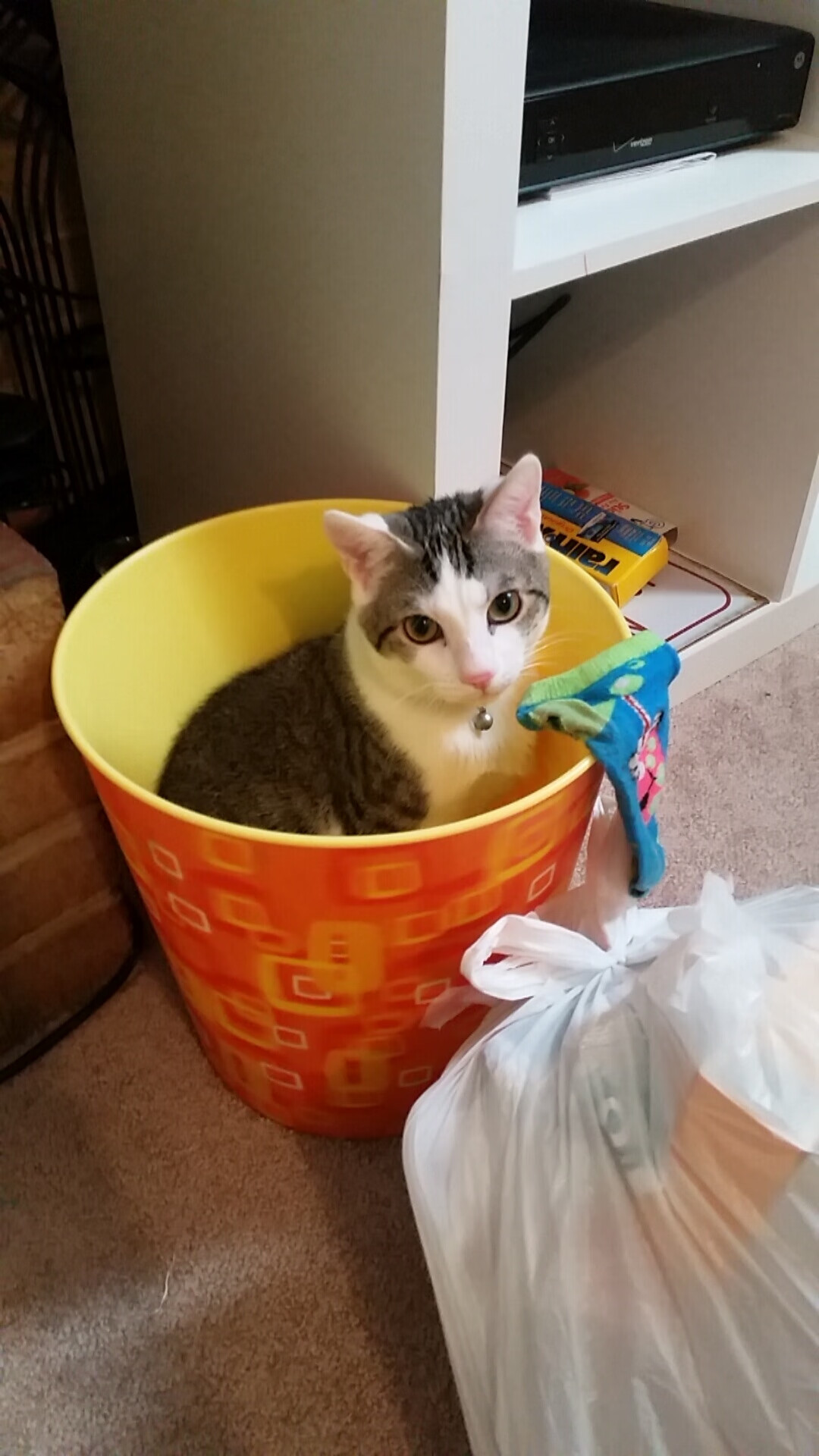 《虚拟偶像明星与电竞赛事合作不断，开辟新蓝海》，虚拟 偶像